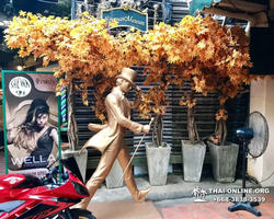 Dangerous Bangkok tour Seven Countries Pattaya Thailand - photo 120