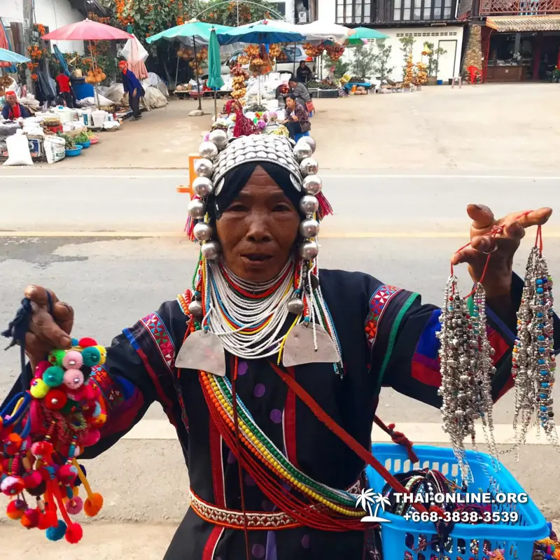 Golden Triangle Best guided trip from Pattaya Thailand - photo 249