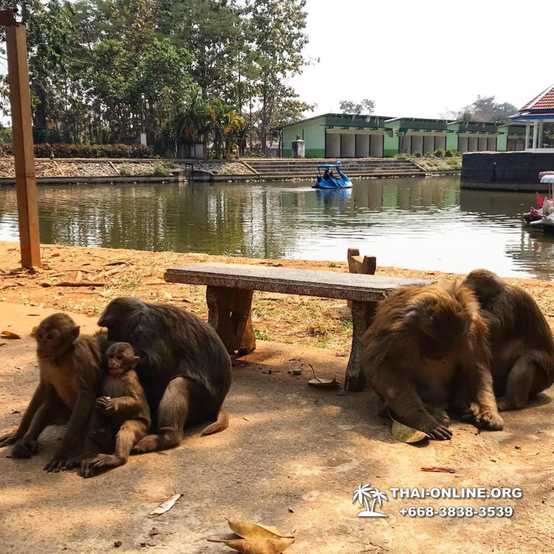Golden Triangle of Thailand 4 day trip - photo 22