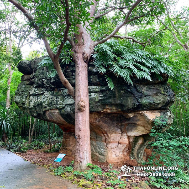 Isaan Treasures tour from Pattaya - photo 22