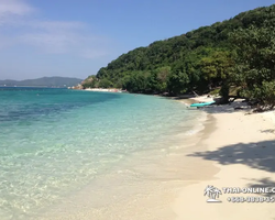 Emerald Island of Koh Kham snorkeling tour from Pattaya Thailand - 332