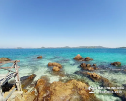 Emerald Island of Koh Kham snorkeling tour from Pattaya Thailand - 278