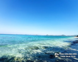 Emerald Island of Koh Kham snorkeling tour from Pattaya Thailand - 377