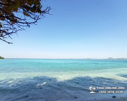 Emerald Island of Koh Kham snorkeling tour from Pattaya Thailand - 368