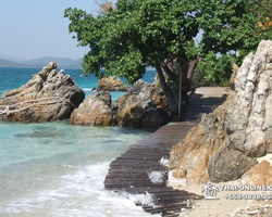 Emerald Island of Koh Kham snorkeling tour from Pattaya Thailand - 160