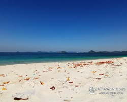 Emerald Island of Koh Kham snorkeling tour from Pattaya Thailand - 495