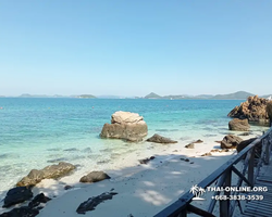 Emerald Island of Koh Kham snorkeling tour from Pattaya Thailand - 361