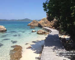 Emerald Island of Koh Kham snorkeling tour from Pattaya Thailand - 390