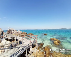 Emerald Island of Koh Kham snorkeling tour from Pattaya Thailand - 272