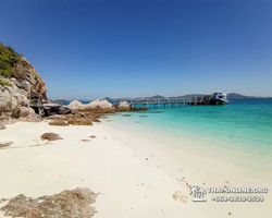 Emerald Island of Koh Kham snorkeling tour from Pattaya Thailand - 446