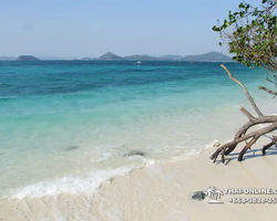 Emerald Island of Koh Kham snorkeling tour from Pattaya Thailand - 419