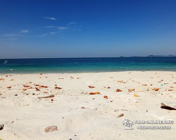 Emerald Island of Koh Kham snorkeling tour from Pattaya Thailand - 438