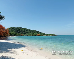 Emerald Island guided tour from Pattaya in Thailand - photo 40