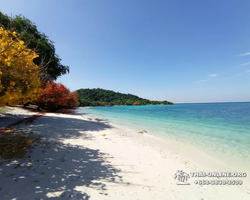 Emerald Island of Koh Kham snorkeling tour from Pattaya Thailand - 350