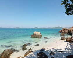 Emerald Island of Koh Kham snorkeling tour from Pattaya Thailand - 363