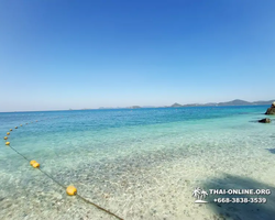 Emerald Island of Koh Kham snorkeling tour from Pattaya Thailand - 331