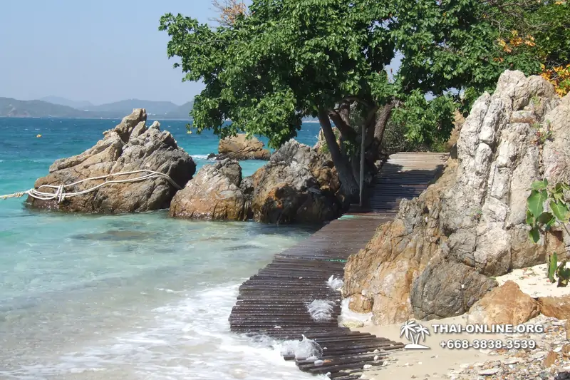 Koh Kham, Emerald Island tour Pattaya, Thailand snorkeling trips - photo 17