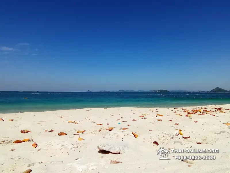 Emerald Island of Koh Kham snorkeling tour from Pattaya Thailand - 514