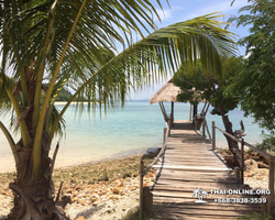 Southern Koh Thaloo private island from Pattaya Thailand photo 19