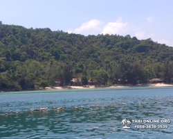 Southern Koh Thaloo private island from Pattaya Thailand photo 124