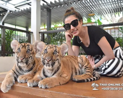 Tiger Park @ Pattaya Thailand excursion photo 45