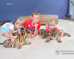 Tiger Park @ Pattaya Thailand excursion photo 9