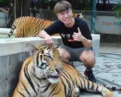 Tiger Park @ Pattaya Thailand excursion photo 22