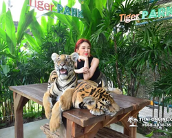 Tiger Park @ Pattaya Thailand excursion photo play with tigers - 121