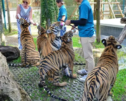 Tiger Park @ Pattaya Thailand excursion photo 11