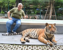 Tiger Park @ Pattaya Thailand excursion photo 25