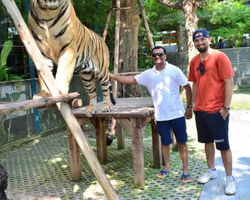Tiger Park @ Pattaya Thailand excursion photo play with tigers - 107