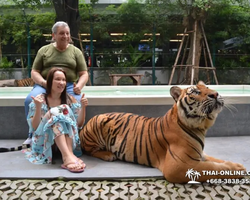 Tiger Park @ Pattaya Thailand excursion photo 24