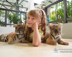 Tiger Park @ Pattaya Thailand excursion photo 4