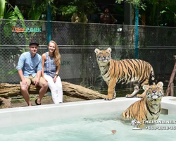 Tiger Park @ Pattaya Thailand excursion photo play with tigers - 132