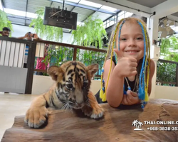 Tiger Park @ Pattaya Thailand excursion photo 48