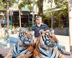 Tiger Park @ Pattaya Thailand excursion photo play with tigers - 126