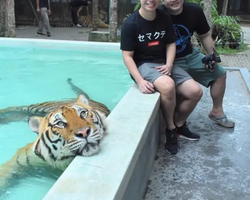 Tiger Park @ Pattaya Thailand excursion photo 44