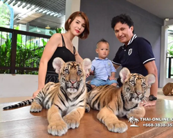 Tiger Park @ Pattaya Thailand excursion photo 47