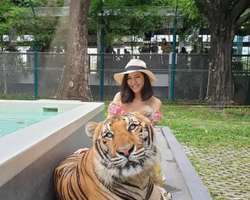 Tiger Park @ Pattaya Thailand excursion photo 12