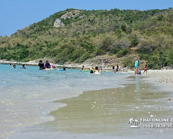 Sai Kaew Beach transfer from Pattaya, Military Beach - photo 39