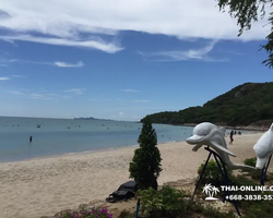 Sai Kaew Beach transfer from Pattaya, Military Beach - photo 11