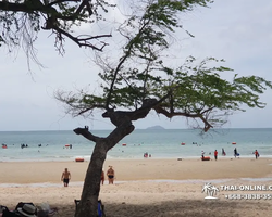 Sai Kaew Beach transfer from Pattaya, Military Beach - photo 150