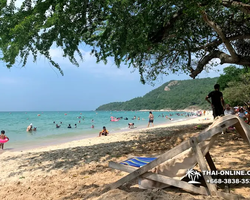 Sai Kaew Beach transfer from Pattaya, Military Beach - photo 142