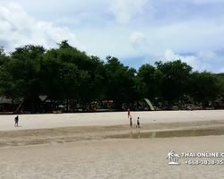 Sai Kaew Beach transfer from Pattaya, Military Beach - photo 147