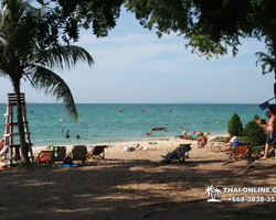 Sai Kaew Beach transfer from Pattaya, Military Beach - photo 89