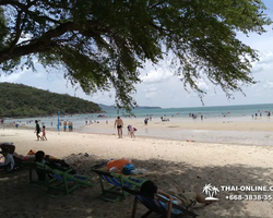 Sai Kaew Beach transfer from Pattaya, Military Beach - photo 106