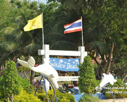 Sai Kaew Beach transfer from Pattaya, Military Beach - photo 41