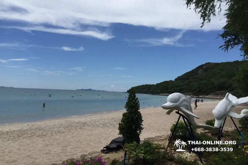 Pattaya tours, excursion from Pattaya to Military Beach, Sai Kaew Beach in Thailand - photo 15