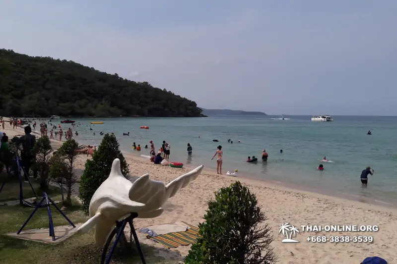 Pattaya tours, excursion from Pattaya to Military Beach, Sai Kaew Beach in Thailand - photo 20