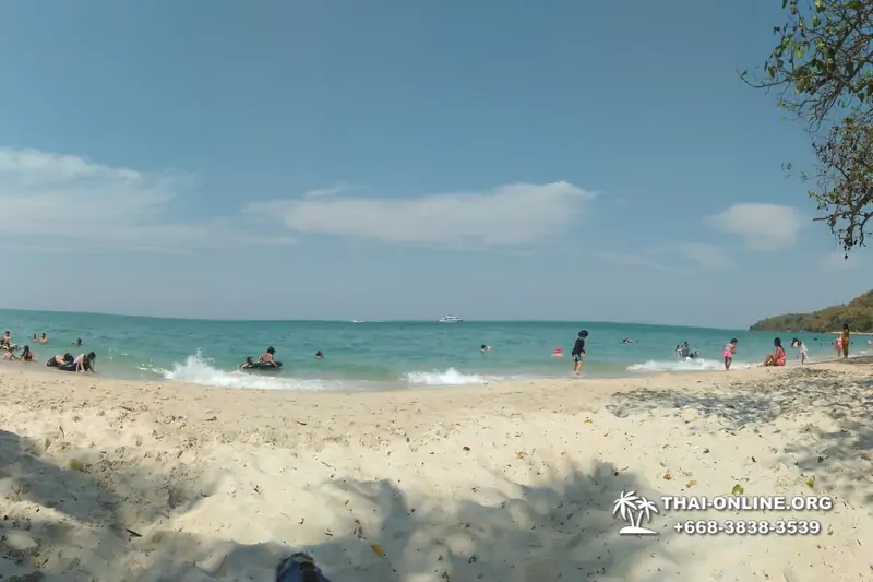 Sai Kaew Beach transfer from Pattaya, Military Beach - photo 145